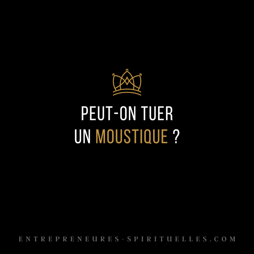 PEUT-ON TUER UN MOUSTIQUE ?